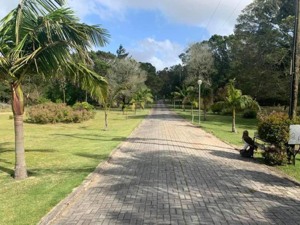 פורט אליזבת' Palm Villa מראה חיצוני תמונה