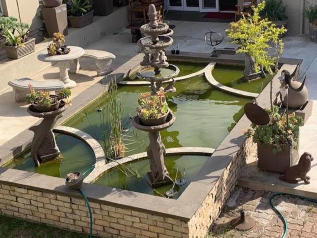 פורט אליזבת' Palm Villa מראה חיצוני תמונה